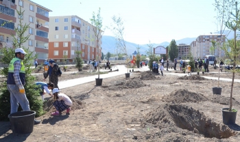 Palandöken Belediyesi'de yeşil seferberliği